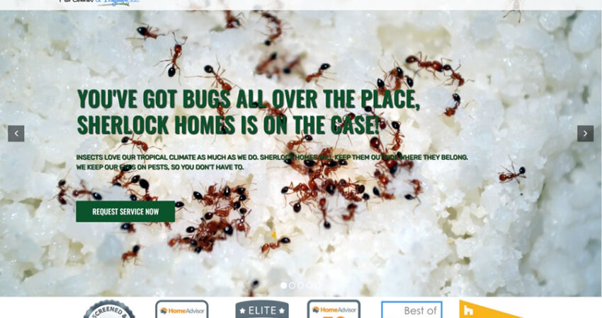 Sherlock Homes Pest Control